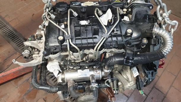 Foto: MOTOR G8DD eines Ford Focus Turnier 1.6 TDCi DPF Sport