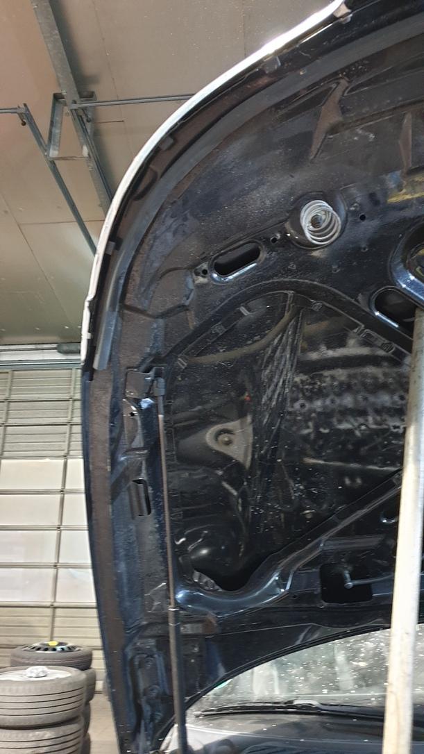 Foto: MOTORHAUBE eines Saab 9-5 Kombi 1.9 TiD Sport