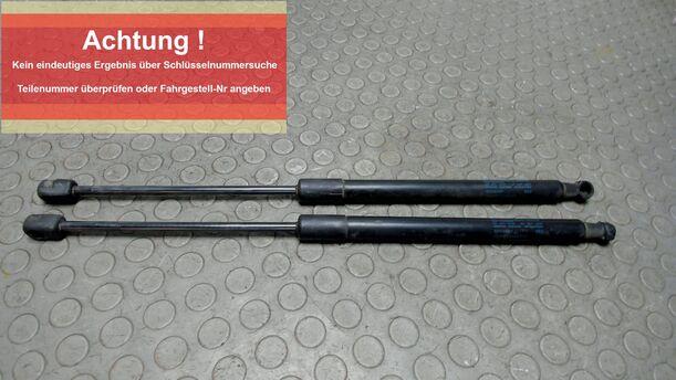 Foto: HECKKLAPPENDÄMPFERPAAR ( 550 N ) eines VW Passat Variant 2.0 TDI DPF Sport