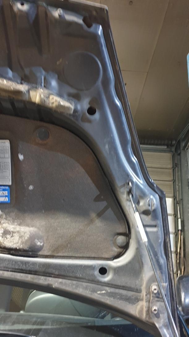 Foto: MOTORHAUBE eines Daihatsu Sirion 1.3 Sport