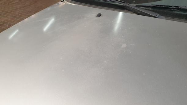Foto: MOTORHAUBE ( VOR FACELIFT ) eines Ford Fiesta Sport