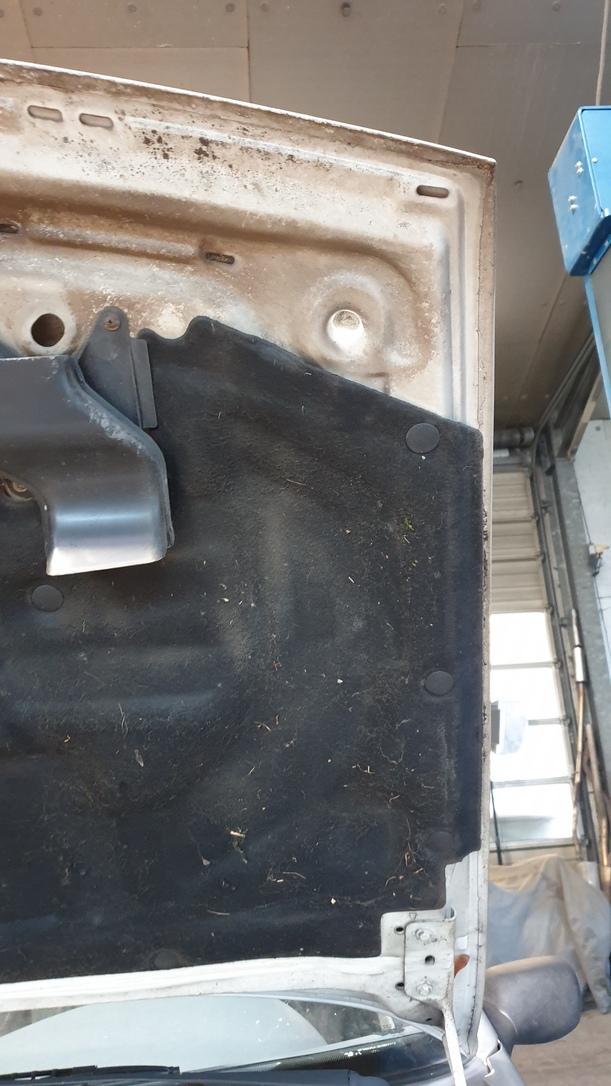 Foto: MOTORHAUBE ( VOR FACELIFT ) eines Ford Fiesta Sport