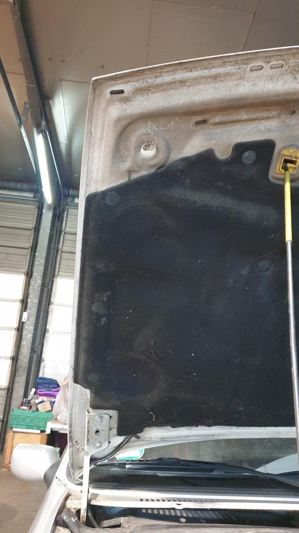 Foto: MOTORHAUBE ( VOR FACELIFT ) eines Ford Fiesta Sport