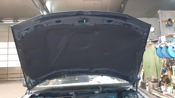 Foto: MOTORHAUBE eines VW Golf Variant 1.9 TDI Sport