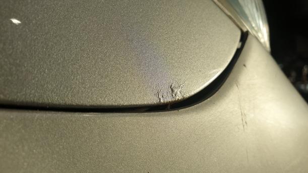 Foto: KOTFLÜGEL RECHTS eines Mazda Premacy 1.9 Sport