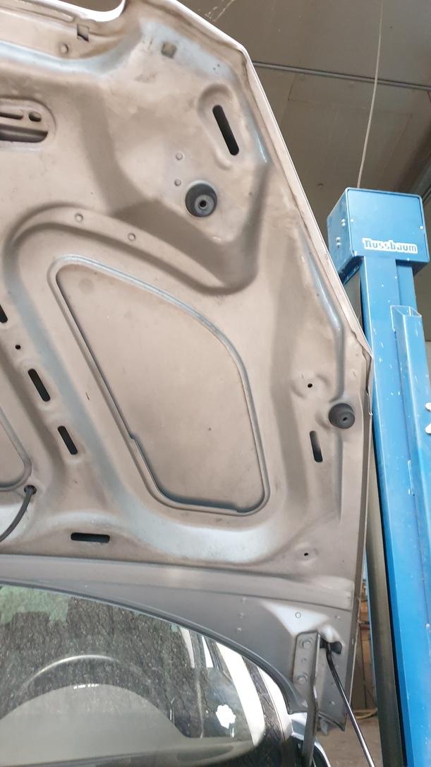 Foto: MOTORHAUBE eines Peugeot 307 Break 110 Stylance