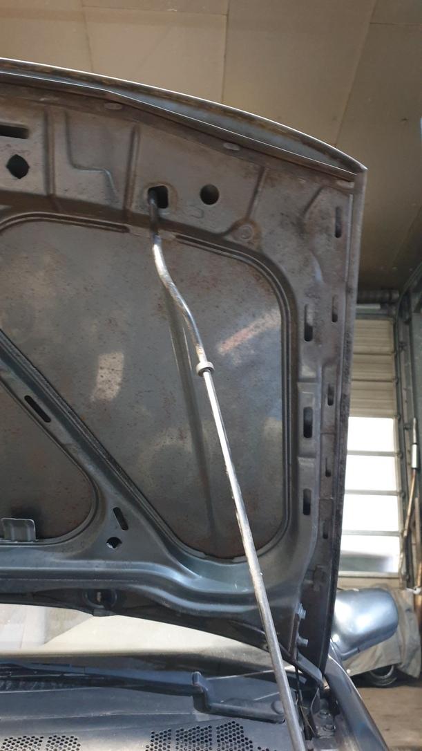 Foto: MOTORHAUBE eines VW Polo 45