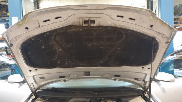 Foto: MOTORHAUBE eines VW Passat Variant 1.8 5V Turbo