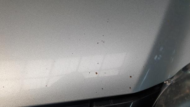 Foto: MOTORHAUBE eines Mazda 6 Sport Kombi 2.0 CD DPF
