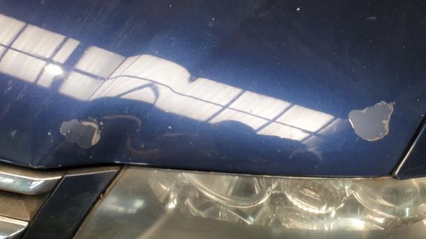 Foto: MOTORHAUBE eines Honda Accord 2.2i-CTDi