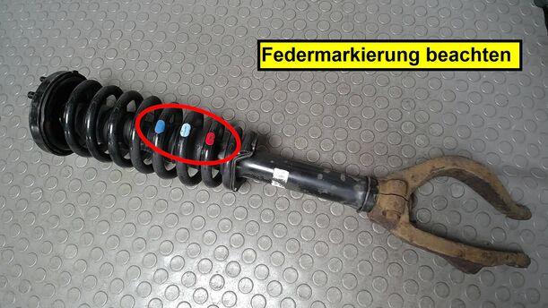 Foto: FEDERBEIN VORN LINKS eines Honda Accord 2.2i-CTDi CLX (LX)