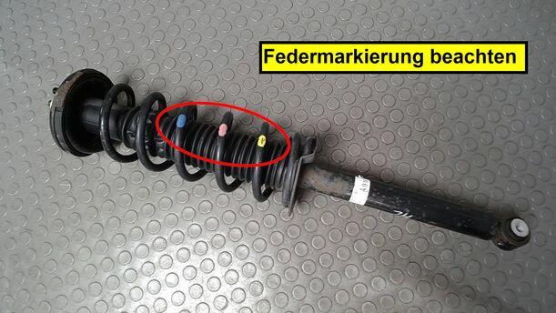 Foto: FEDERBEIN HINTEN LINKS eines Honda Accord 2.2i-CTDi CLX (LX)