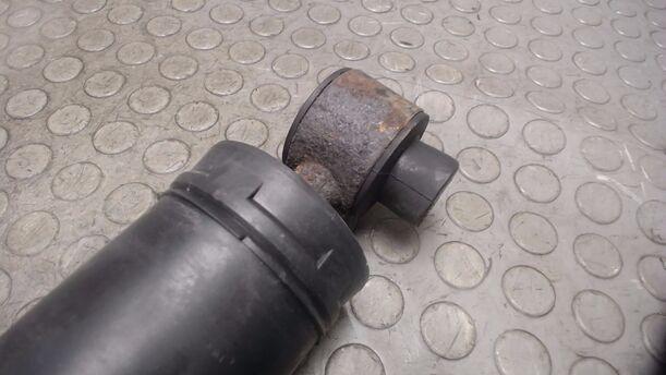 Foto: STOSSDÄMPFERPAAR HINTEN eines Renault Megane 1.4 CLX
