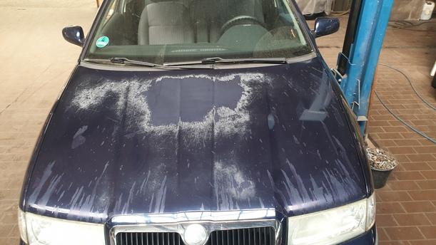 Foto: MOTORHAUBE eines Skoda Octavia 1.8 T Combi CLX