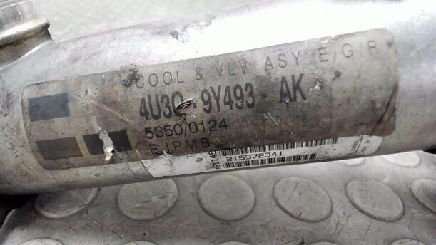 Foto: ABGASKÜHLER eines Peugeot 407 HDi 205 Bi-Turbo Automatik Trend