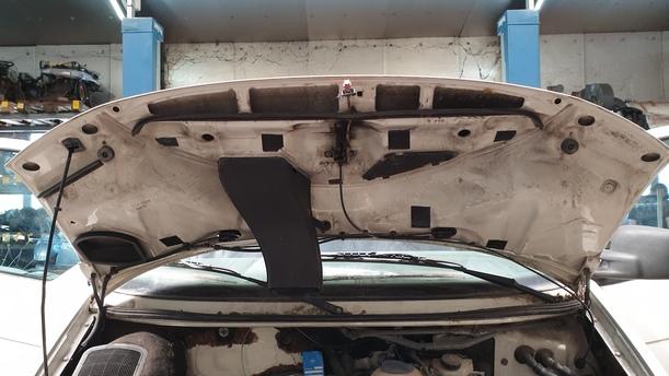 Foto: MOTORHAUBE ( CARAVELLE ) eines VW Multivan T4 CLX (LX)
