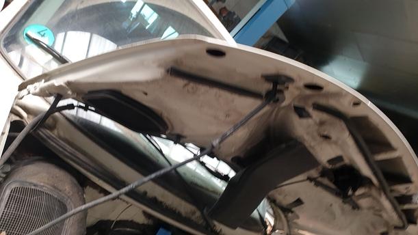Foto: MOTORHAUBE ( CARAVELLE ) eines VW Multivan T4 CLX (LX)