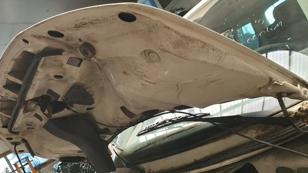 Foto: MOTORHAUBE ( CARAVELLE ) eines VW Multivan T4 CLX (LX)