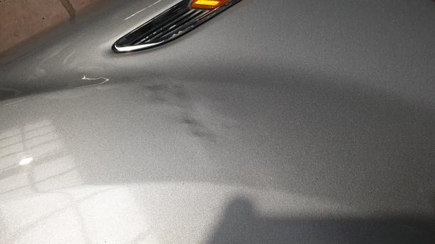 Foto: KOTFLÜGEL LINKS eines Ford Mondeo Turnier 2.0 TDCi Si