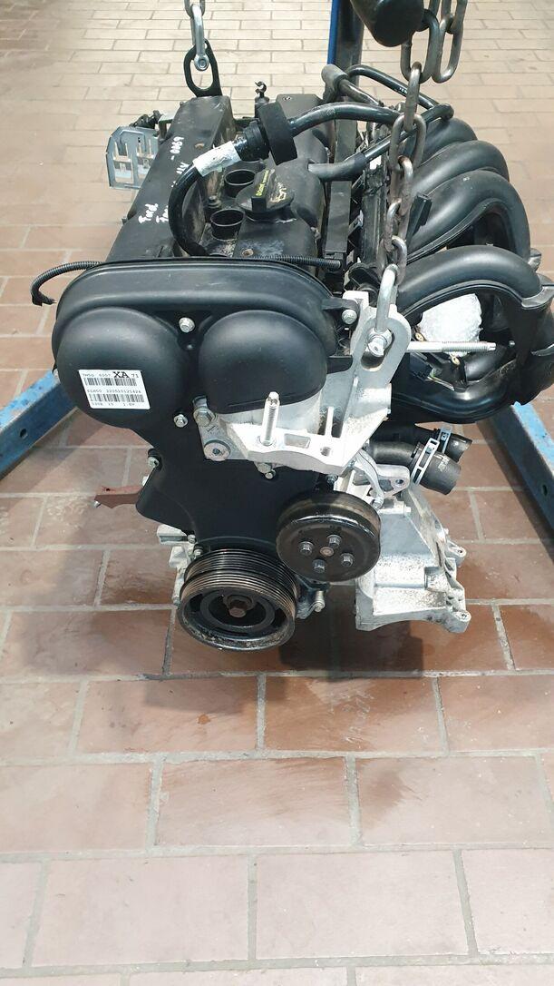 Foto: MOTOR SHDC eines Ford Focus 1.6 16V