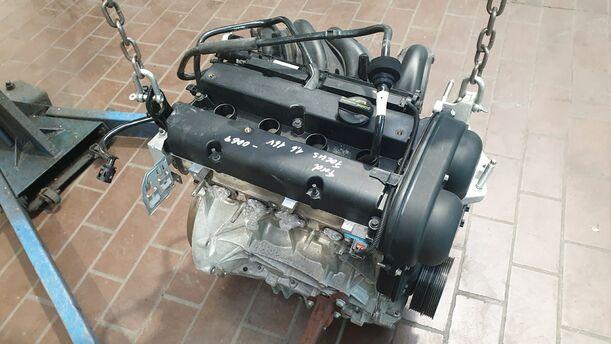Foto: MOTOR SHDC eines Ford Focus 1.6 16V