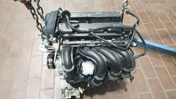 Foto: MOTOR SHDC eines Ford Focus 1.6 16V
