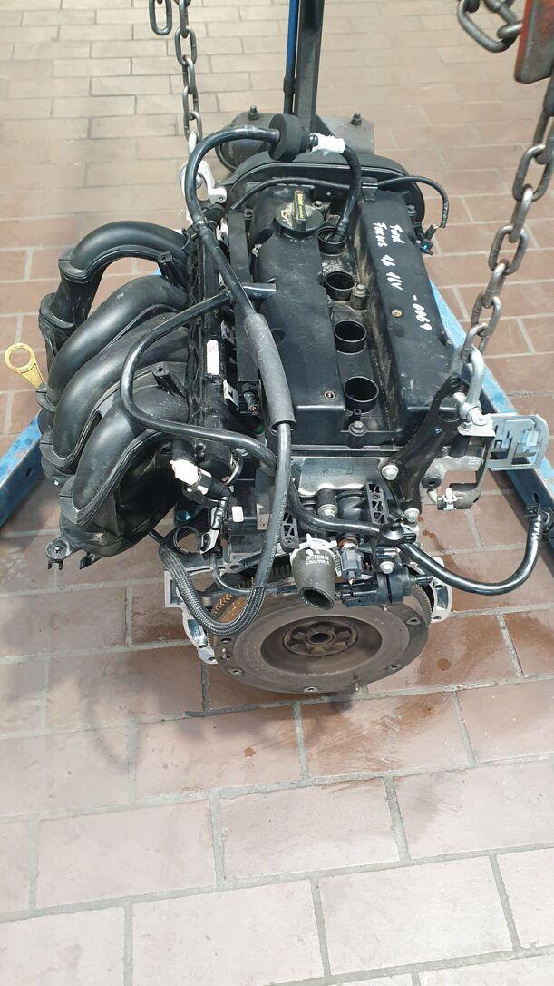 Foto: MOTOR SHDC eines Ford Focus 1.6 16V