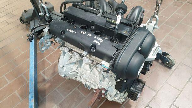 Foto: MOTOR SHDC eines Ford Focus 1.6 16V