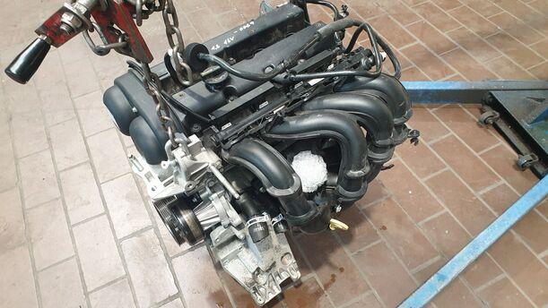 Foto: MOTOR SHDC eines Ford Focus 1.6 16V