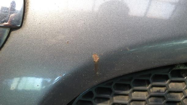 Foto: MOTORHAUBE eines Nissan Almera 1.5 dCi