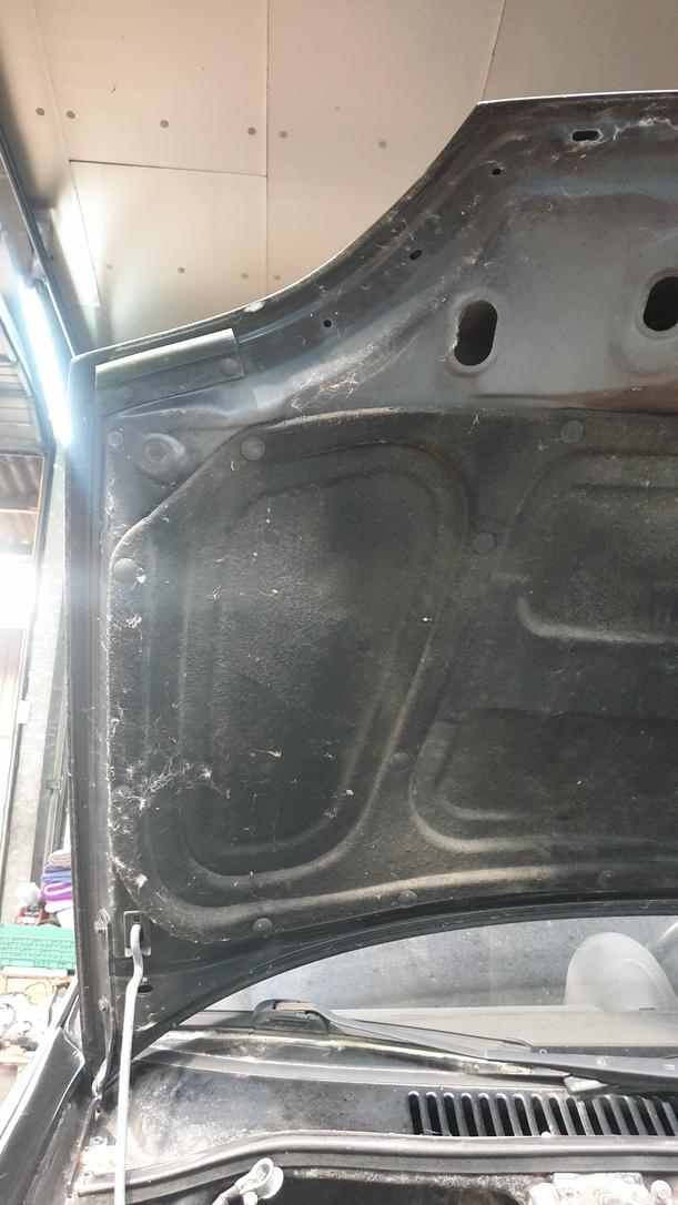 Foto: MOTORHAUBE eines Fiat Seicento 1.1
