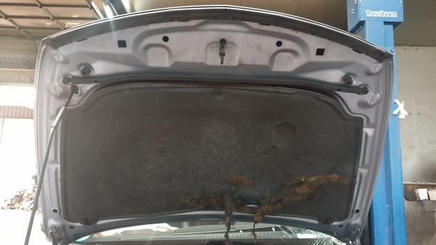 Foto: MOTORHAUBE eines Mazda 6 Sport Kombi 2.2 CD DPF