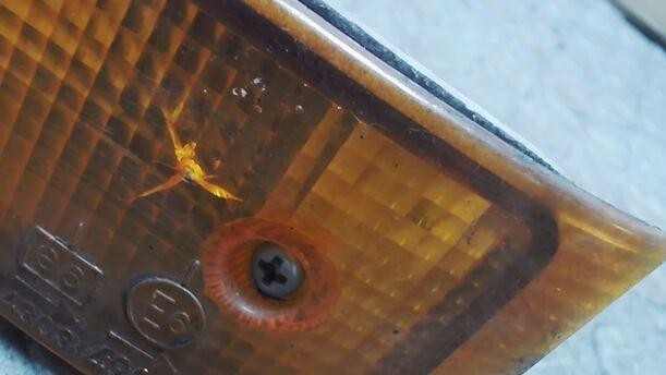 Foto: BLINKER VORN LINKS eines Toyota Starlet 1.0 DX (DLX)