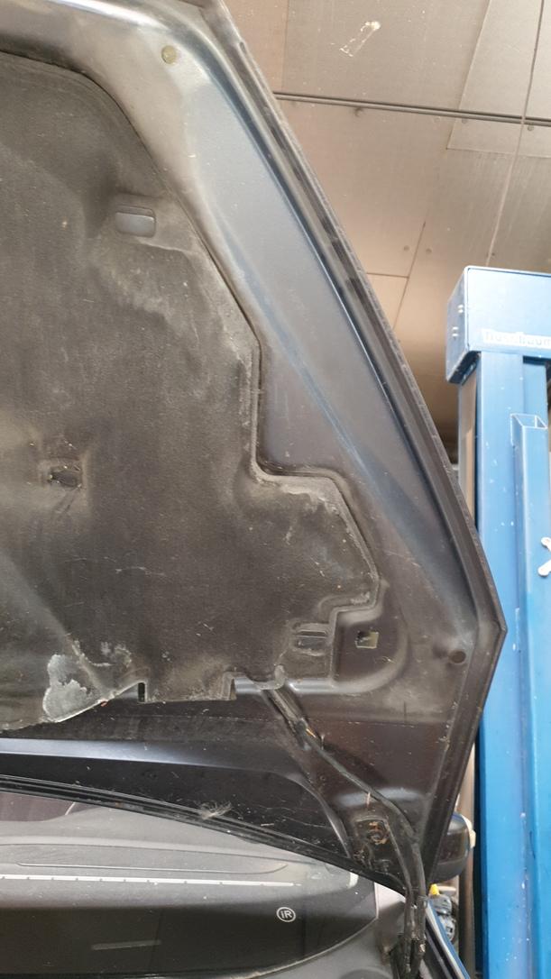 Foto: MOTORHAUBE eines Ford S-Max 2.0 TDCi DPF DX (DLX)