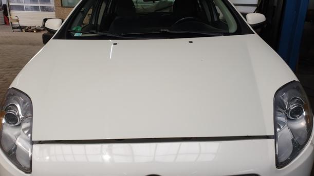 Foto: MOTORHAUBE eines Fiat Bravo 1.9 Multijet 8V DPF DX (DLX)