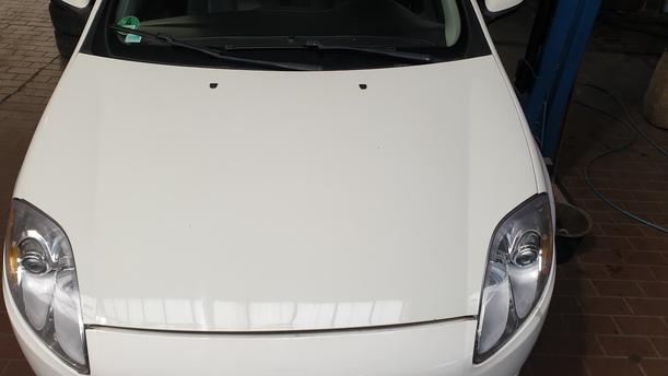 Foto: MOTORHAUBE eines Fiat Bravo 1.9 Multijet 8V DPF DX (DLX)