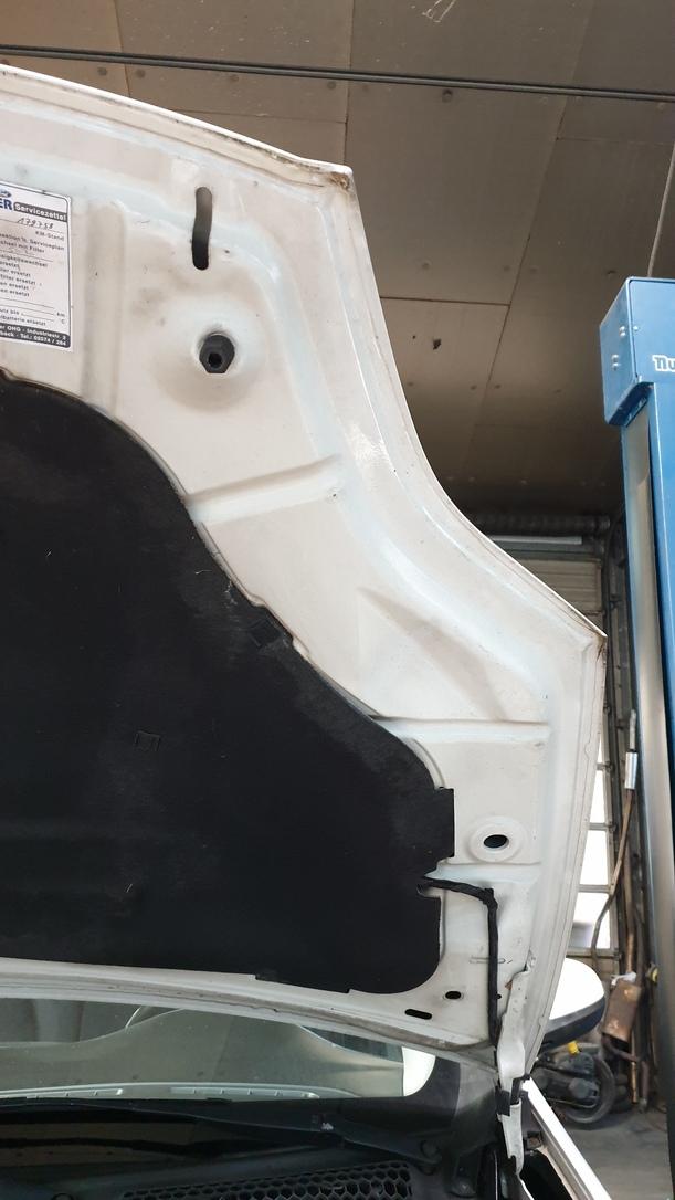 Foto: MOTORHAUBE eines Fiat Bravo 1.9 Multijet 8V DPF DX (DLX)