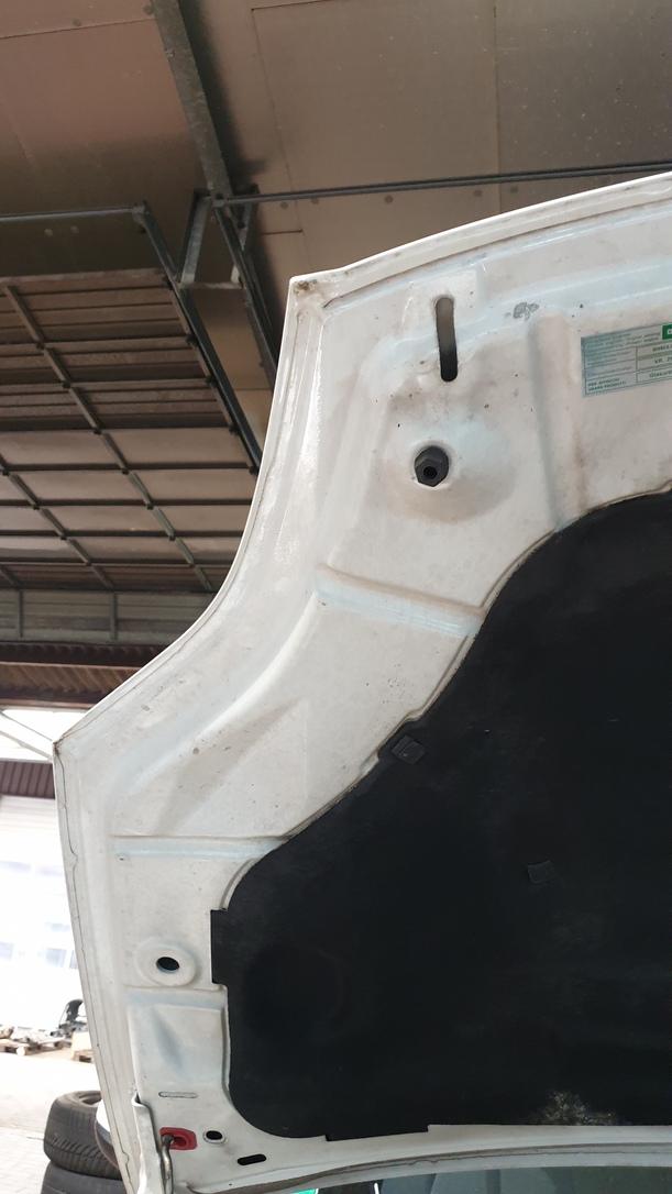 Foto: MOTORHAUBE eines Fiat Bravo 1.9 Multijet 8V DPF DX (DLX)