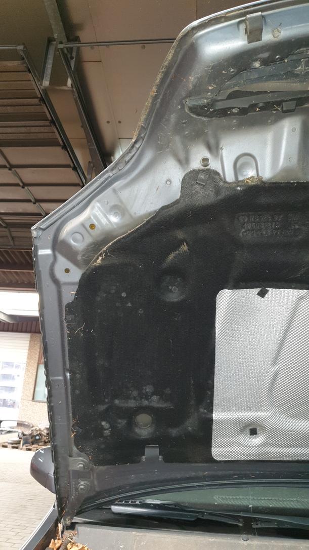 Foto: MOTORHAUBE eines Opel Vectra 1.9 CDTI DX (DLX)