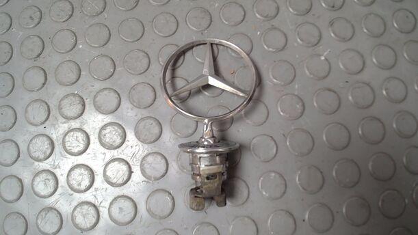 Foto: STERN/ EMBLEM eines Mercedes-Benz E 320 T CDI GL