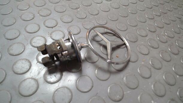 Foto: STERN/ EMBLEM eines Mercedes-Benz E 320 T CDI GL
