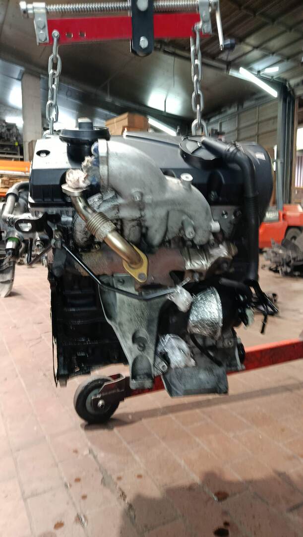 Foto: MOTOR AVF eines VW Passat Variant 1.9 TDI