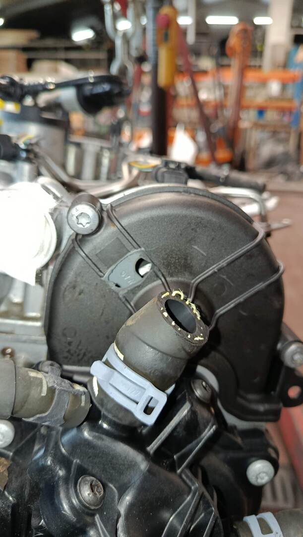 Foto: MOTOR CHZC eines Seat Ibiza SC 1.0 Eco TSI S&S GL