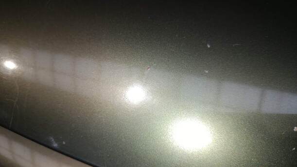 Foto: MOTORHAUBE eines Citroen Berlingo 1.6 HDI Cup