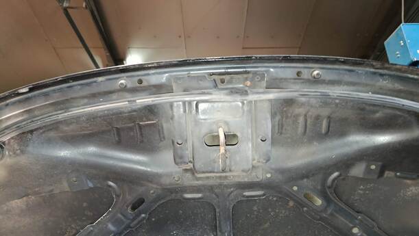 Foto: MOTORHAUBE eines Hyundai i10 1.1 Cup