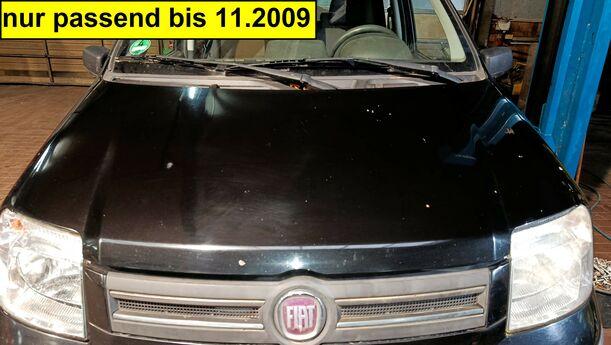 Foto: MOTORHAUBE eines Fiat Panda 1.2