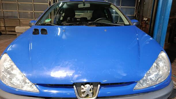 Foto: MOTORHAUBE ( LACKIERBEDÜFTIG ) eines Peugeot 206 60