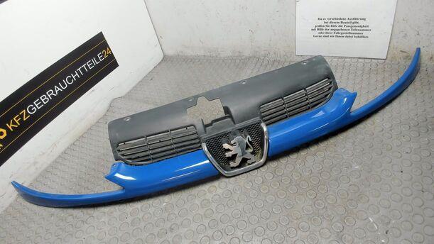 Foto: KÜHLERGRILL eines Peugeot 206 60
