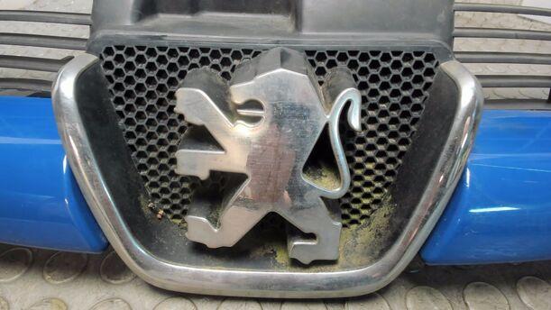 Foto: KÜHLERGRILL eines Peugeot 206 60