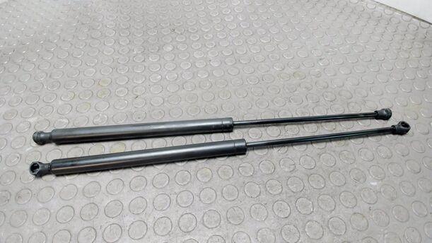 Foto: HECKKLAPPENDÄMPFERPAAR eines Peugeot 206 60 Viva X